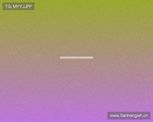 探索小鸟官方网站的独特魅力与创新功能助力用户体验升级